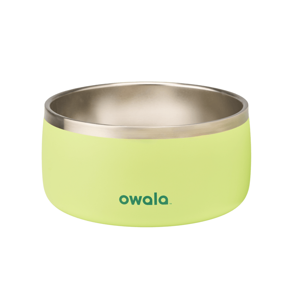 Pet Bowl - Essential Choice