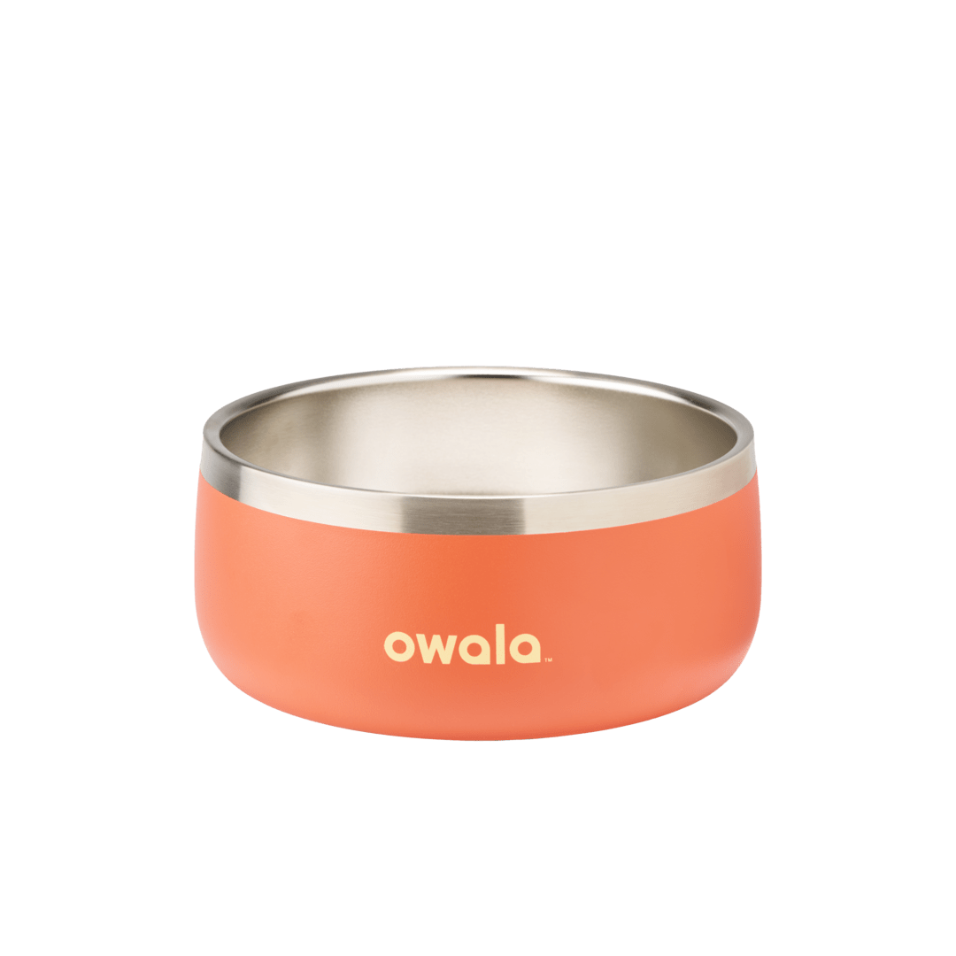 Pet Bowl - Essential Choice