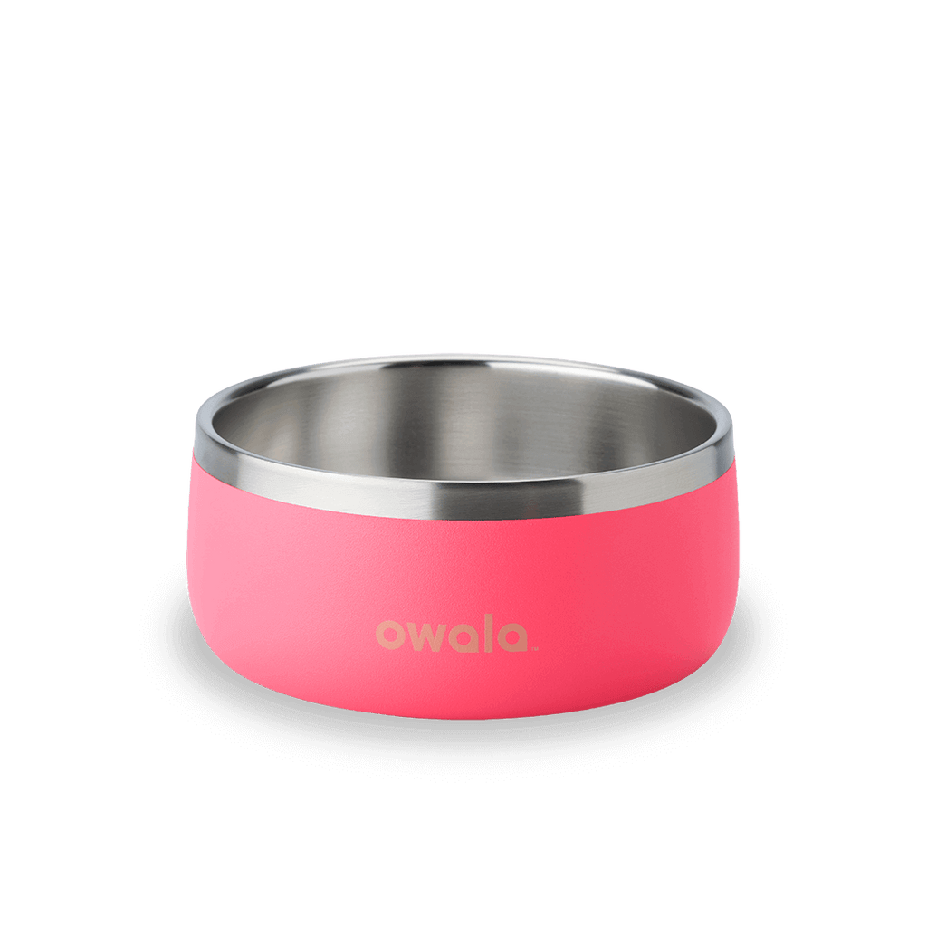 Pet Bowl - Essential Choice