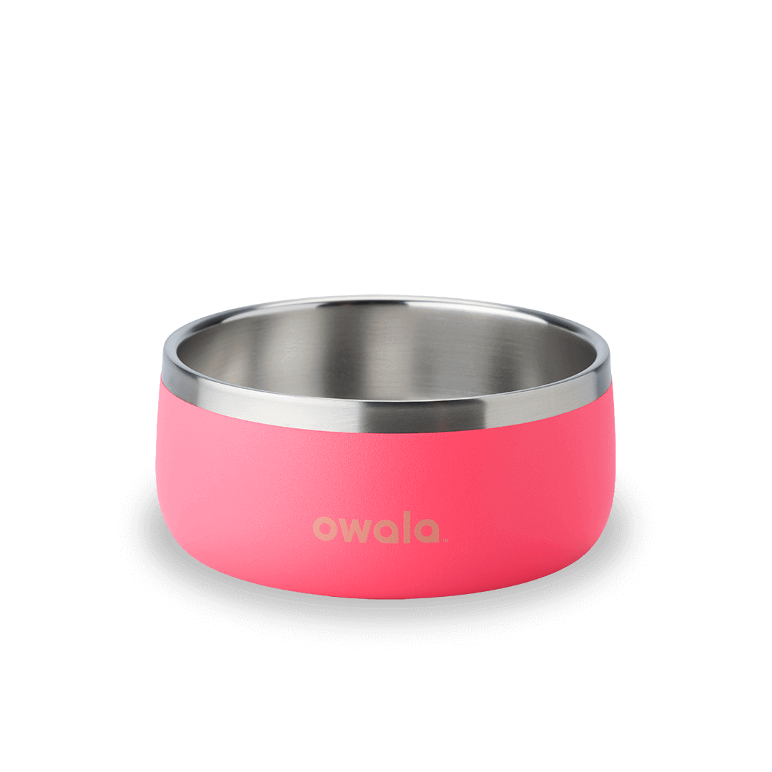 Pet Bowl - Essential Choice