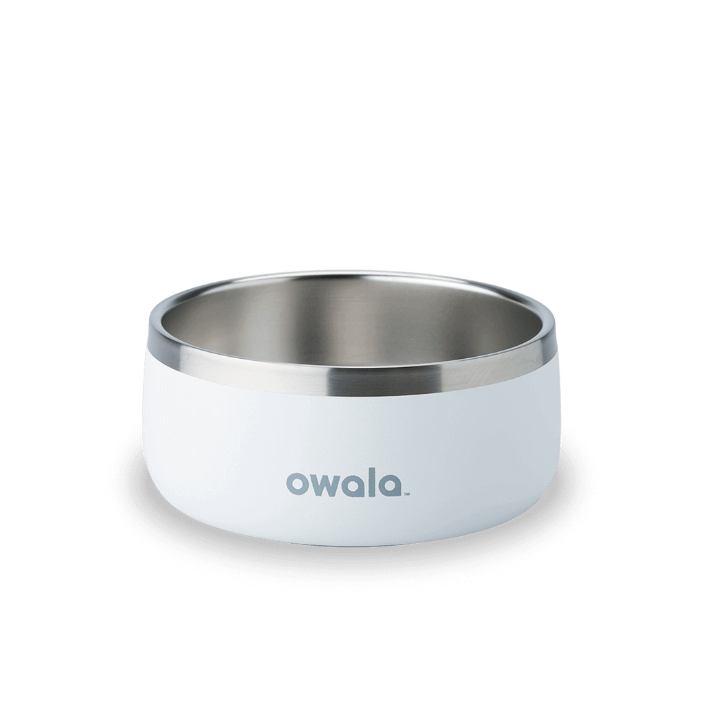 Pet Bowl - Essential Choice
