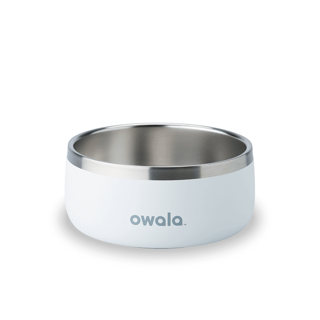 Pet Bowl - Essential Choice