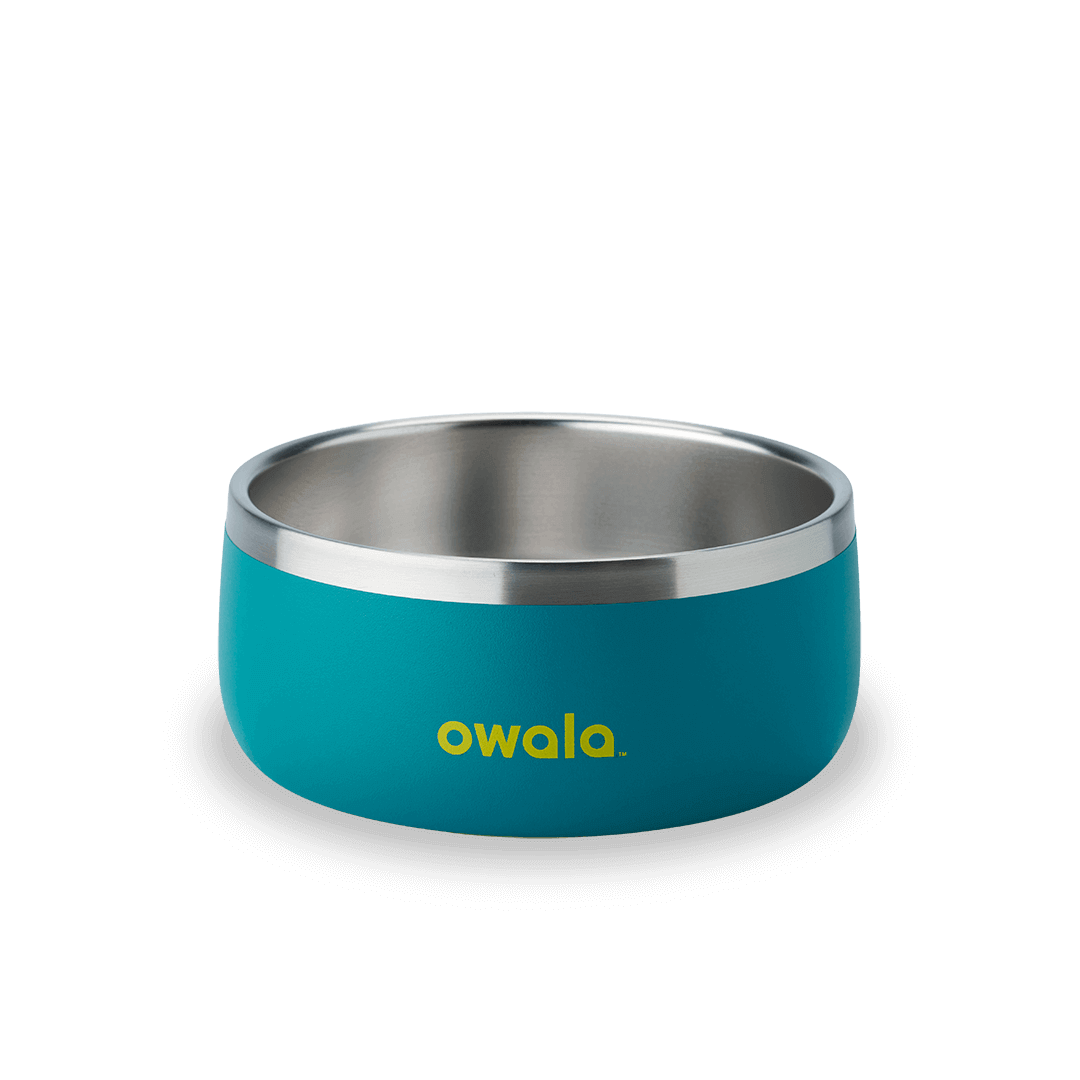Pet Bowl - Essential Choice